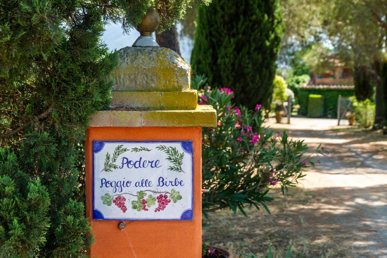 Ferienhaus Birbina - Poggio Alle Birbe *